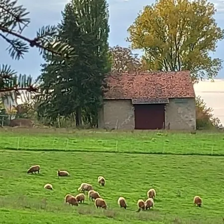 In Treysa Апартаменты Швальмштадт