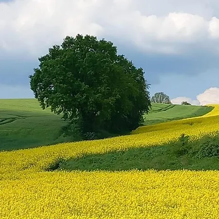 In Treysa * Schwalmstadt